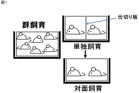 2.社会心理的ストレス