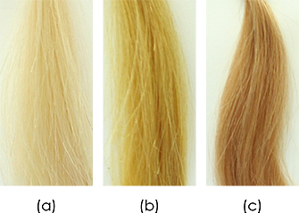 図3　酵素酸化法および化学酸化法（O2）で合成した(+)-カテキン由来色素によって染色された脱色白髪の染色結果。(a) 未染色白髪、(b) 酵素酸化法で得た色素で染色された白髪、(c) 化学酸化法で得た色素で染色された白髪。