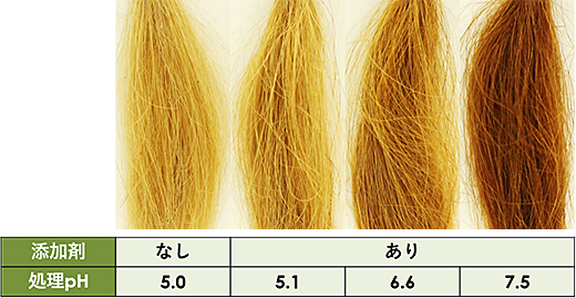 図5　サンフェノン90Sをもちいて染毛した健常白髪。サンフェノン90Sで処理する際に添加剤と処理pHを検討した。酸化剤はNaIO4として、後酸化法で染色した。