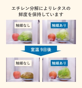 環境配慮型製品「太陽化学メソポーラスシリカ」
