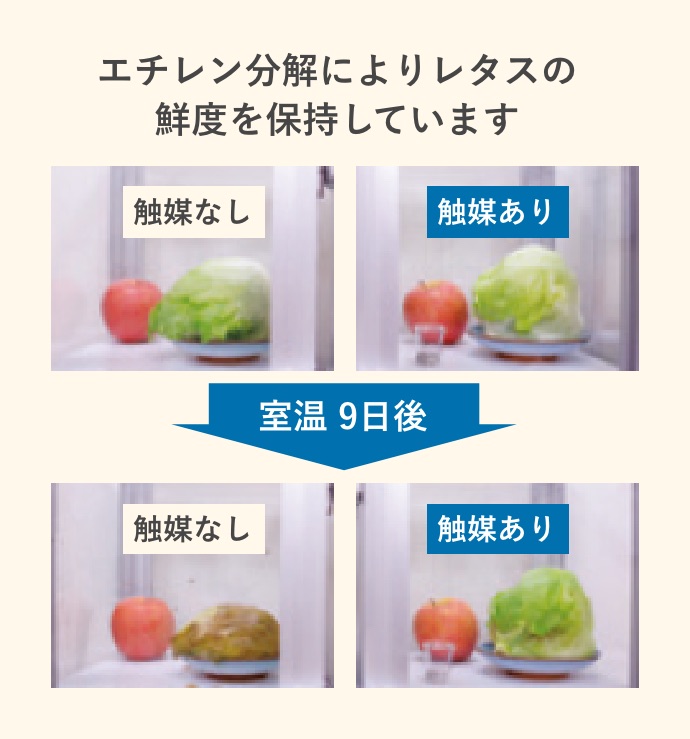 環境配慮型製品「太陽化学メソポーラスシリカ」