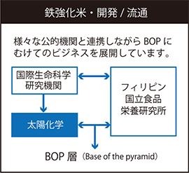 鉄強化米・開発/流通