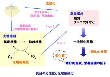 食品酸化の種類