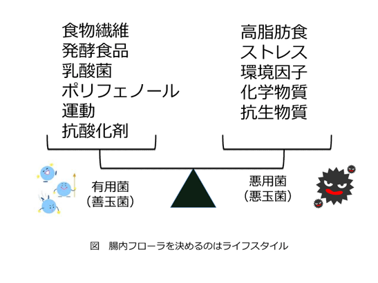 腸内フローラを決めるのはライフスタイル