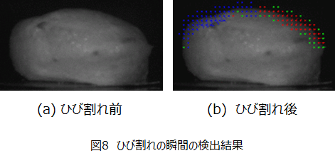 食品の開発に係わる画像処理