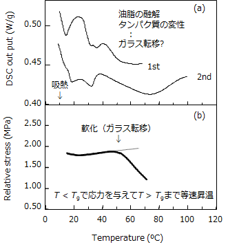 ガラス転移温度の評価