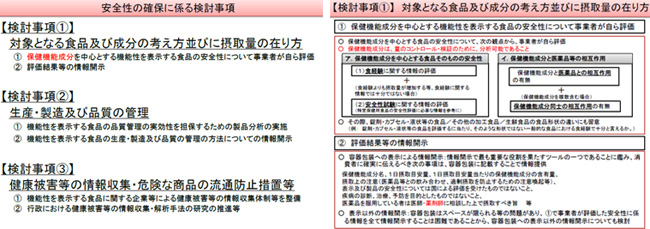 安全性に関する議論