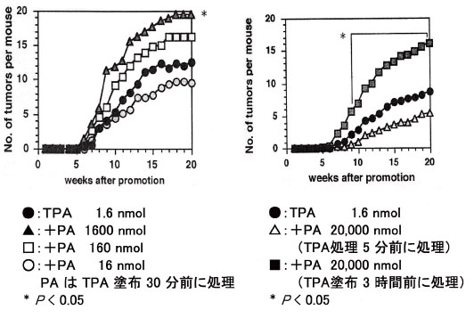 図1:マウスにおけるPAの皮膚発がん二段階試験