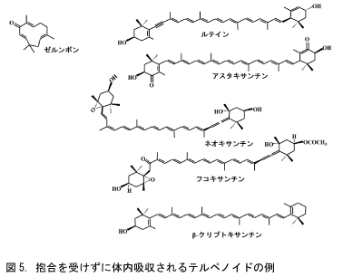 体内吸収時に代謝変換をほとんど受けない成分