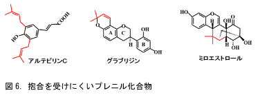 抱合酵素が接近しにくい化学構造の成分