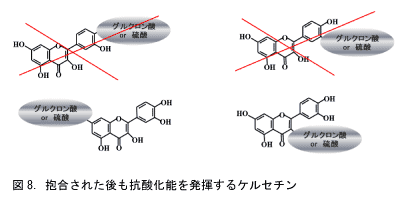 抱合された後も機能性を残している成分