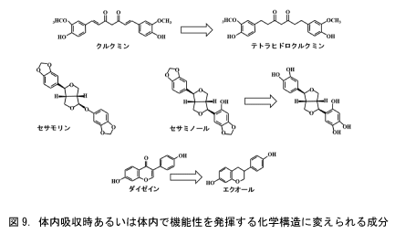 代謝変換されて生理活性を示す成分