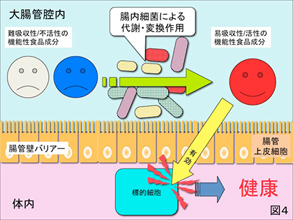 図4