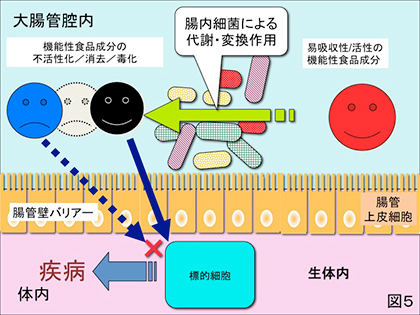 図5