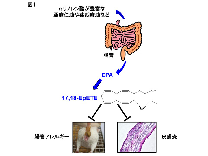 図1