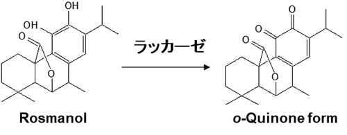 図2. ラッカーゼによるRosmanolの変換反応