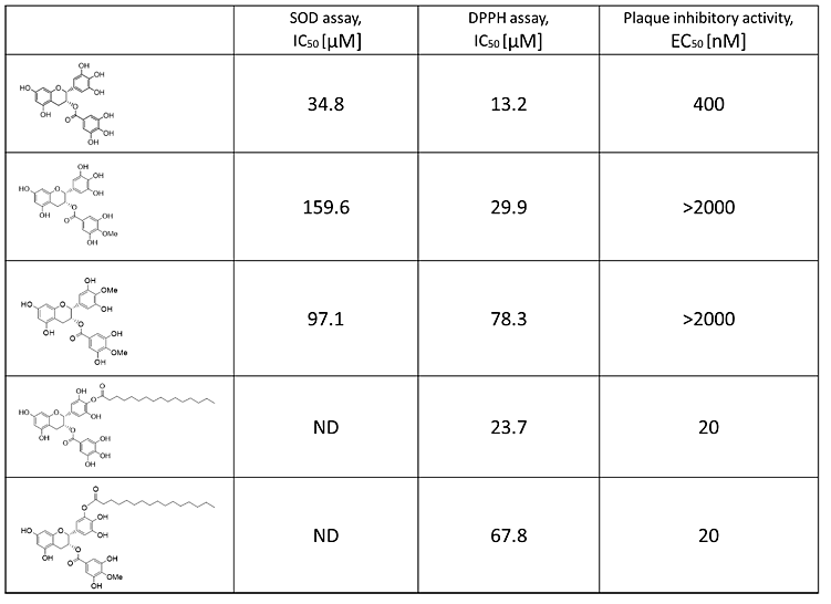 表1. EGCG、メチル化EGCG、EGCG脂肪酸モノエステル、及びメチル化EGCG脂肪酸モノエステルの抗酸化活性（SOD assay）、抗ラジカル活性（DPPH ssay）、抗インフルエンザウイルス活性（Plaque inhibitory assay)各数値は小さいほど活性が高いことを示す。ND：検出できず。