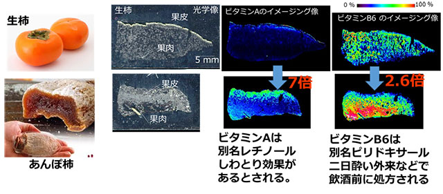 図5 あんぽ柿のイメージング質量分析
