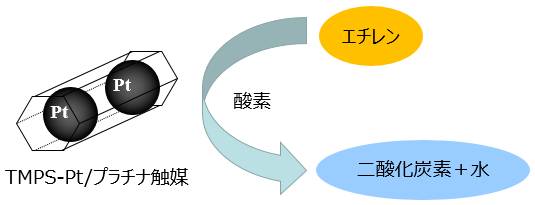 TMPS-Pt/プラチナ触媒のエチレン分解反応