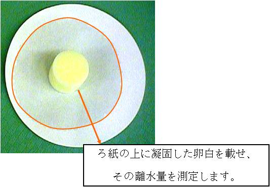 図:ゲル化卵白の離水量測定の様子