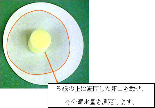 図：ゲル化卵白の離水量測定の様子