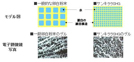 カマボコと「凝固」キノウ