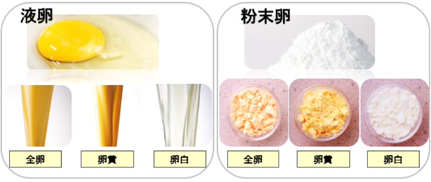 どんな形のたまごがあるの?