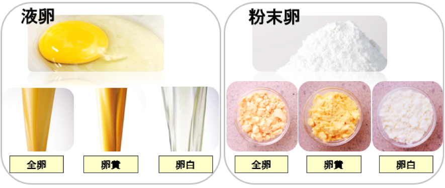 どんな形のたまごがあるの？