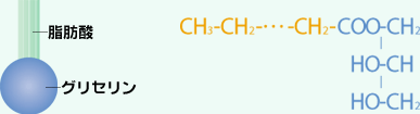 グリセリン脂肪酸エステル（モノグリセリド）