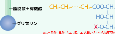 有機酸モノグリセリド