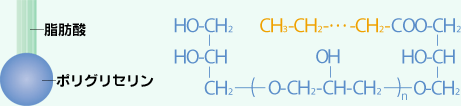 ポリグリセリン脂肪酸エステル（ポリグリセリンエステル）