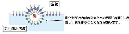 乳化剤分子による泡の保護