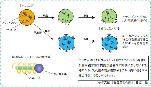 デンプン複合体形成能