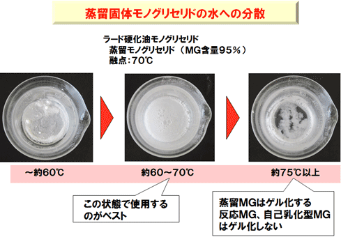 モノグリセリドと水の作用