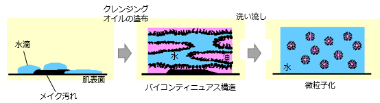 濡れた系でもクレンジングオイルでメイクを落とすメカニズム