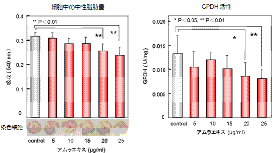 （日本栄養食糧学会2007にて発表）