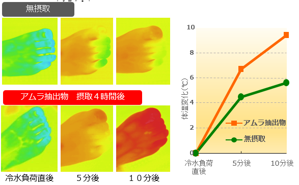 【結果】