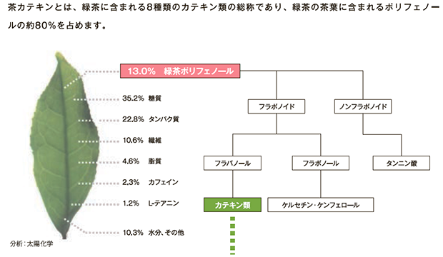 緑茶の成分