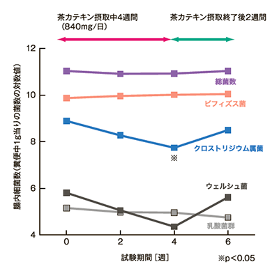 健常人8名(22～48歳)を対象とした試験