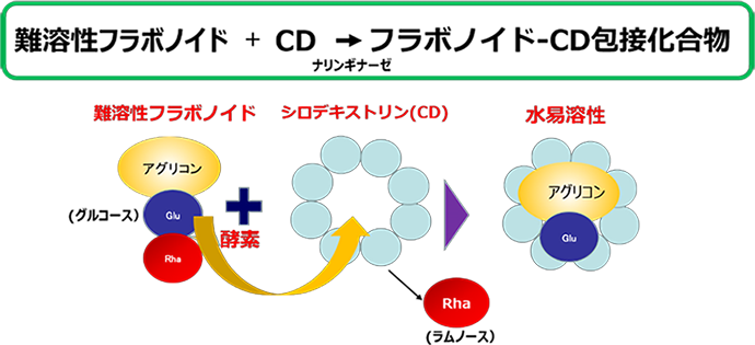 図１フラボノイド-シクロデキストン包接化合物の製造方法