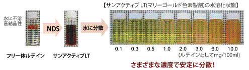 NDSならこうなる!