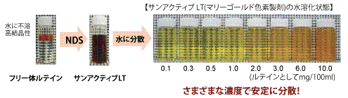 NDSならこうなる！