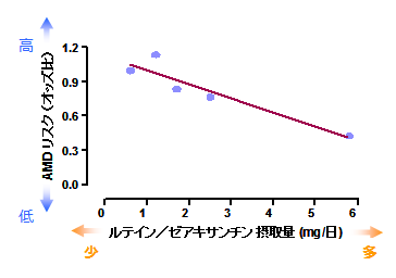 「加齢黄斑変性」って？