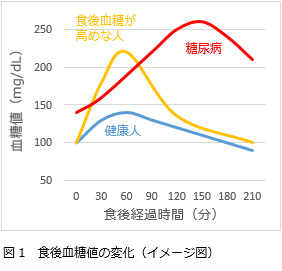 食後血糖のピーク値を抑える！グアーガム分解物