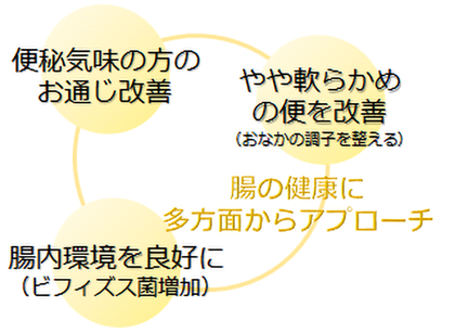 ダブルの方向からお腹の調子を整える機能性表示対応素材「グアーガム分解物」