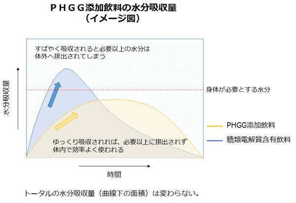 水分吸収に与えるグアーガム酵素分解物の影響（ラットによる試験）