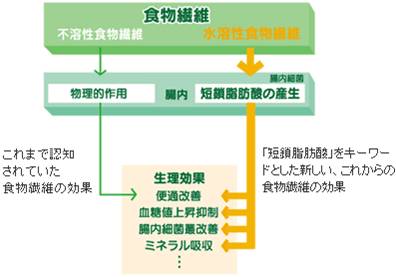 これからの食物繊維の考え方