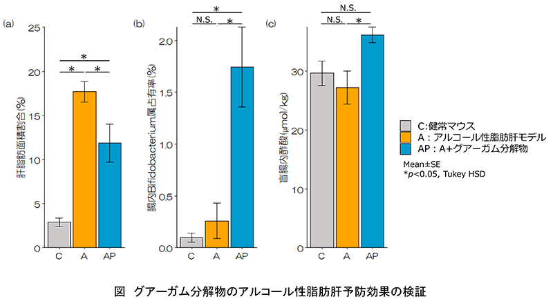グアーガム分解物のアルコール性脂肪肝予防効果の検証