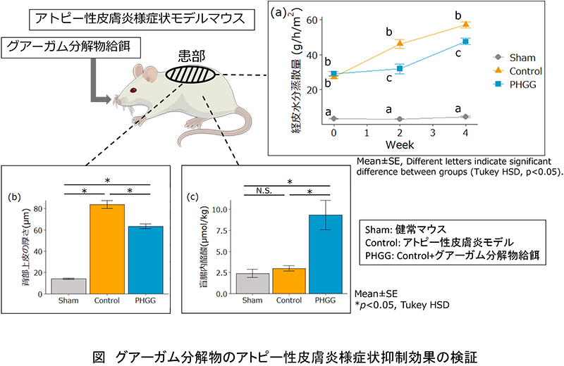 グアーガム分解物のアトピー性皮膚炎様症状抑制効果の検証