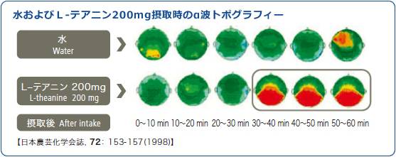 L-テアニンのリラックス効果